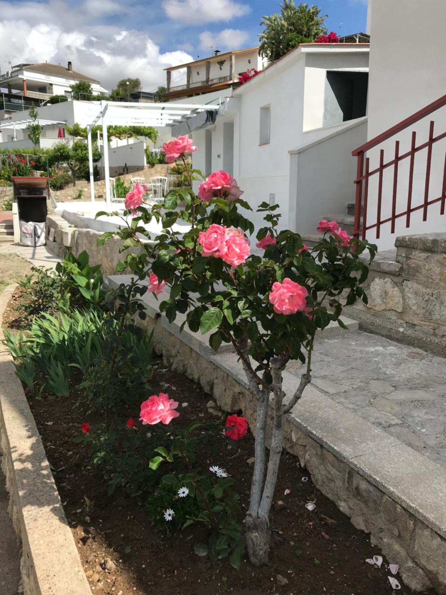 Campagne Luxueuse De Sitges Villa Olivella Kültér fotó
